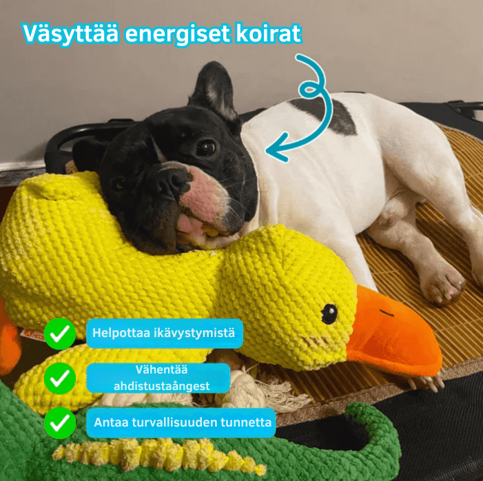 SnuggleQuack – Rauhoittavat Äänet Stressittömälle Koiralle