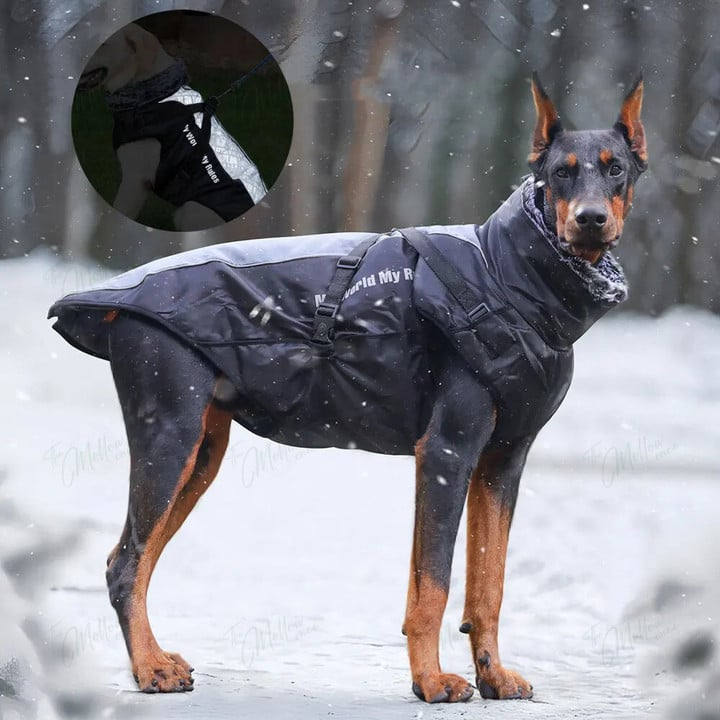 Heijastava Koiran Lämmin Takki