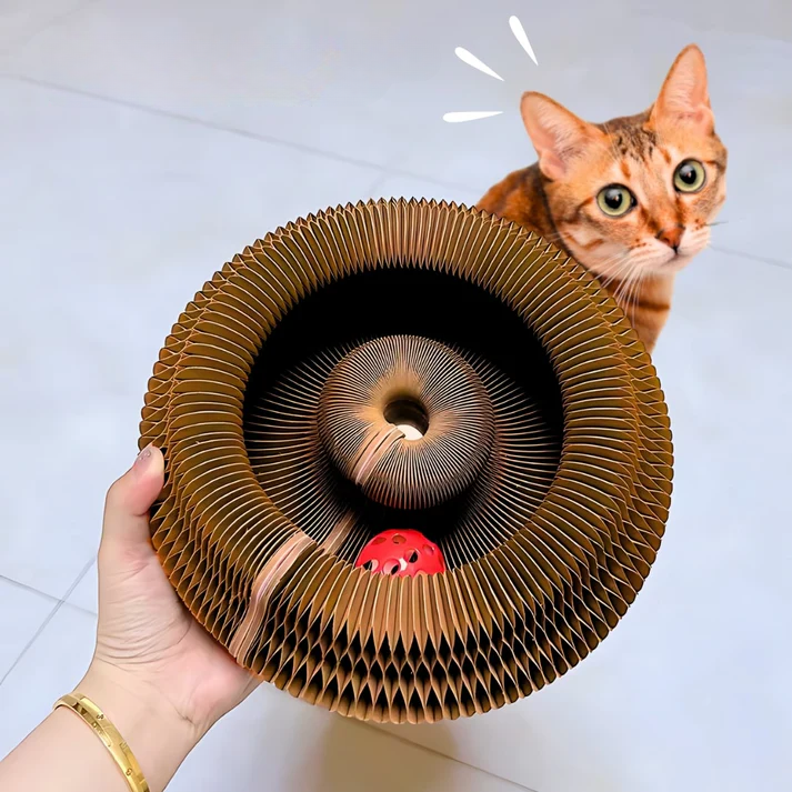 Catventure-lelu