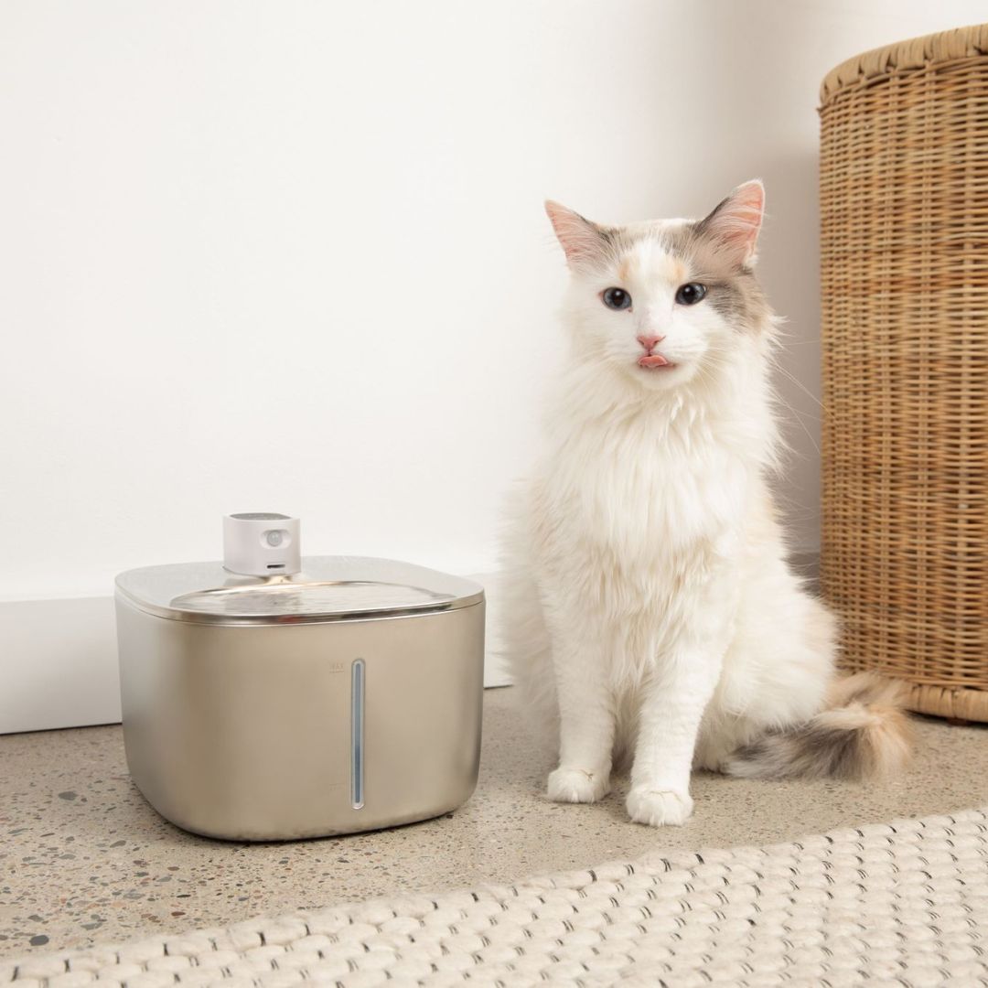 Sipurr™ | Kissan Vesiautomaatti