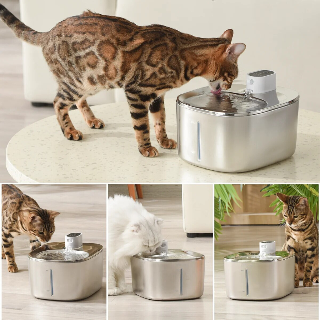 Sipurr™ | Kissan Vesiautomaatti