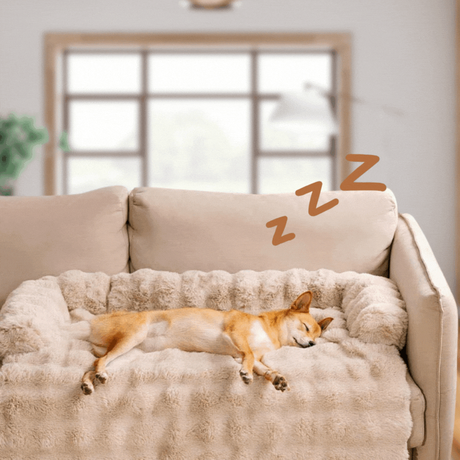 CozyGuard™ Sohvasuoja & Lemmikin Peti – Mukavuutta lemmikille, siisteyttä kotiin