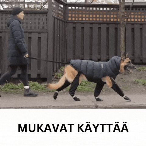 Vedenpitävät ja Liukumattomat Koiran Jalkineet – Suojaa Tassut Lunta, Suolaa ja Mutaa Vastaan