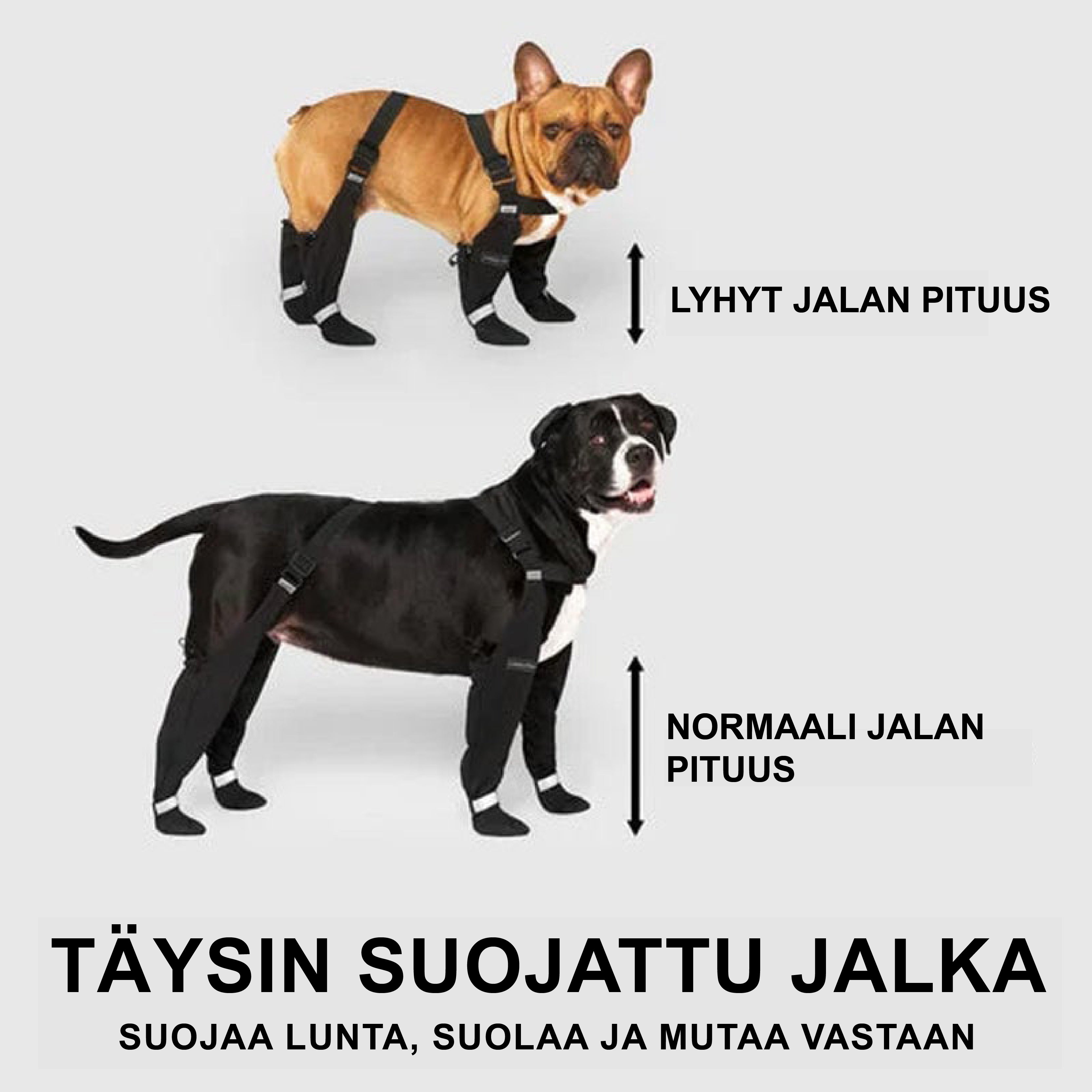 Vedenpitävät ja Liukumattomat Koiran Jalkineet – Suojaa Tassut Lunta, Suolaa ja Mutaa Vastaan