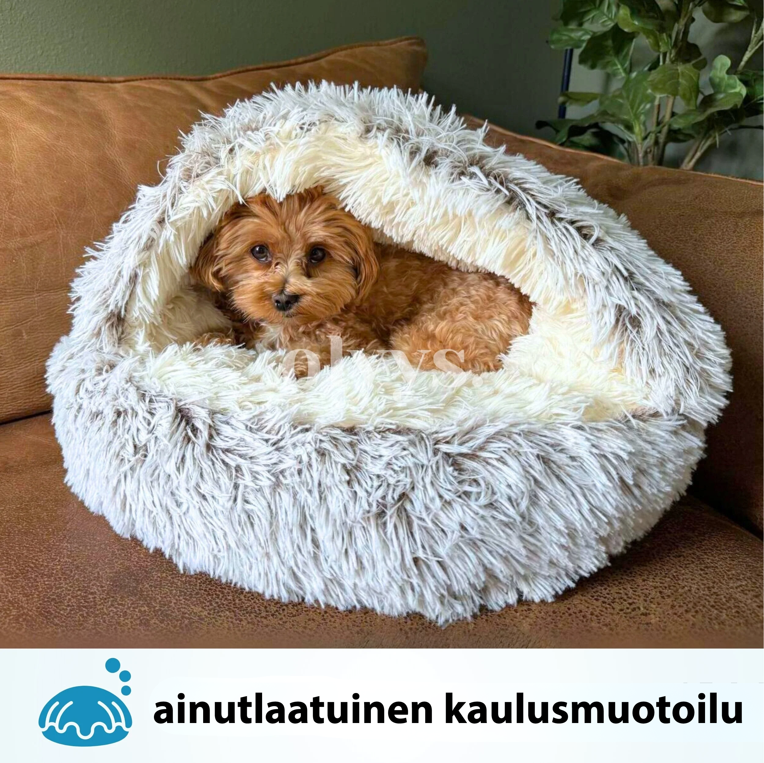 #Cozy Cocoon - Lemmikin peti