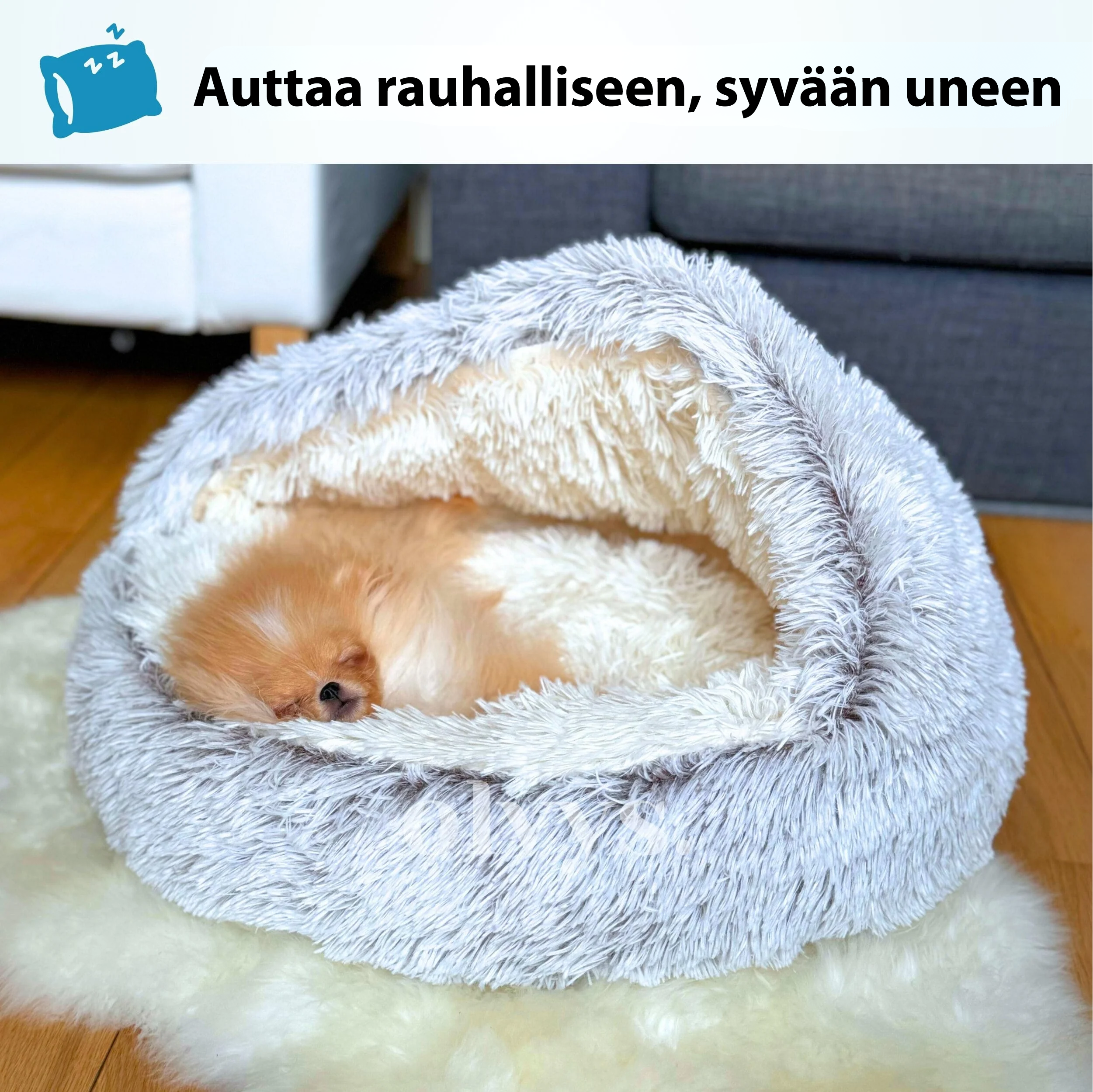 #Cozy Cocoon - Lemmikin peti