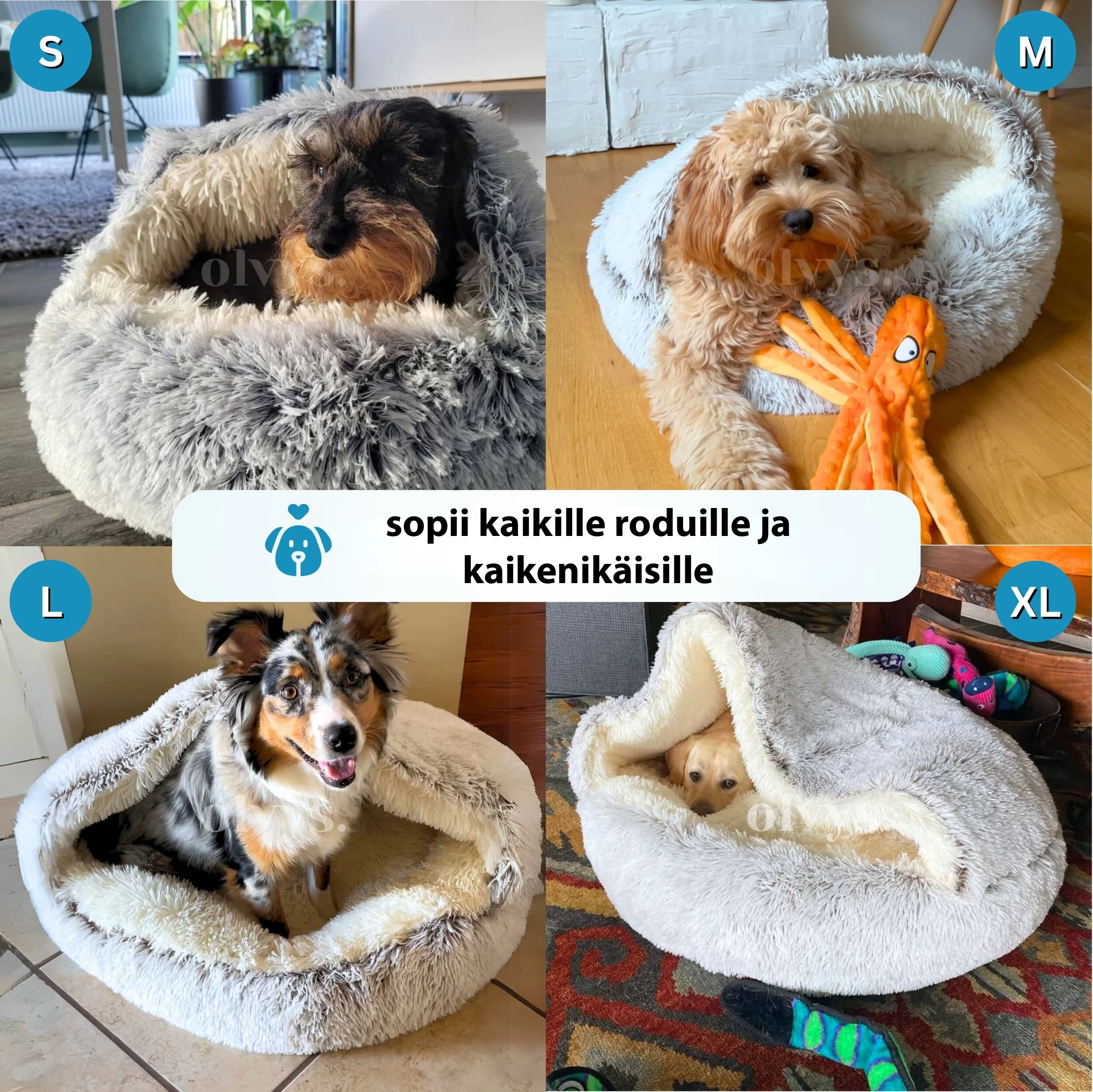 #Cozy Cocoon - Lemmikin peti