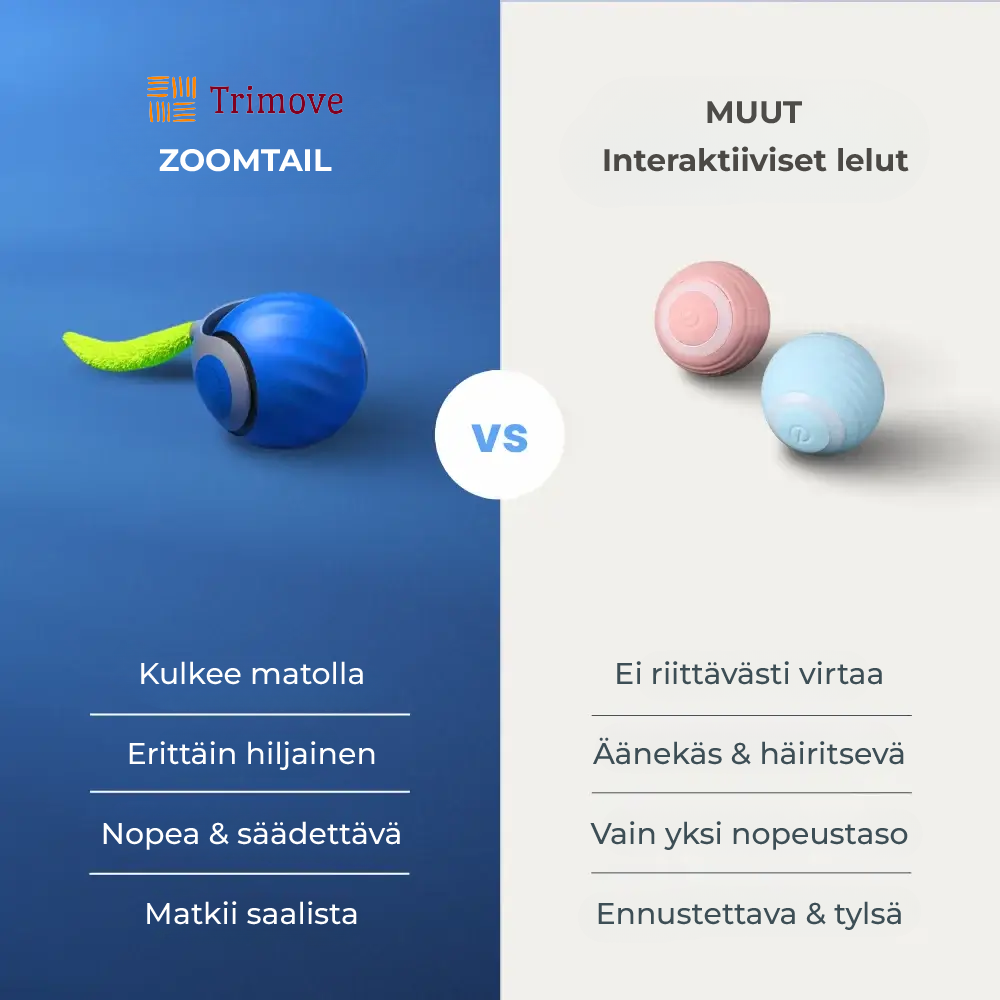 ZoomTail | Vuorovaikutteinen kissan takaa-ajolelu