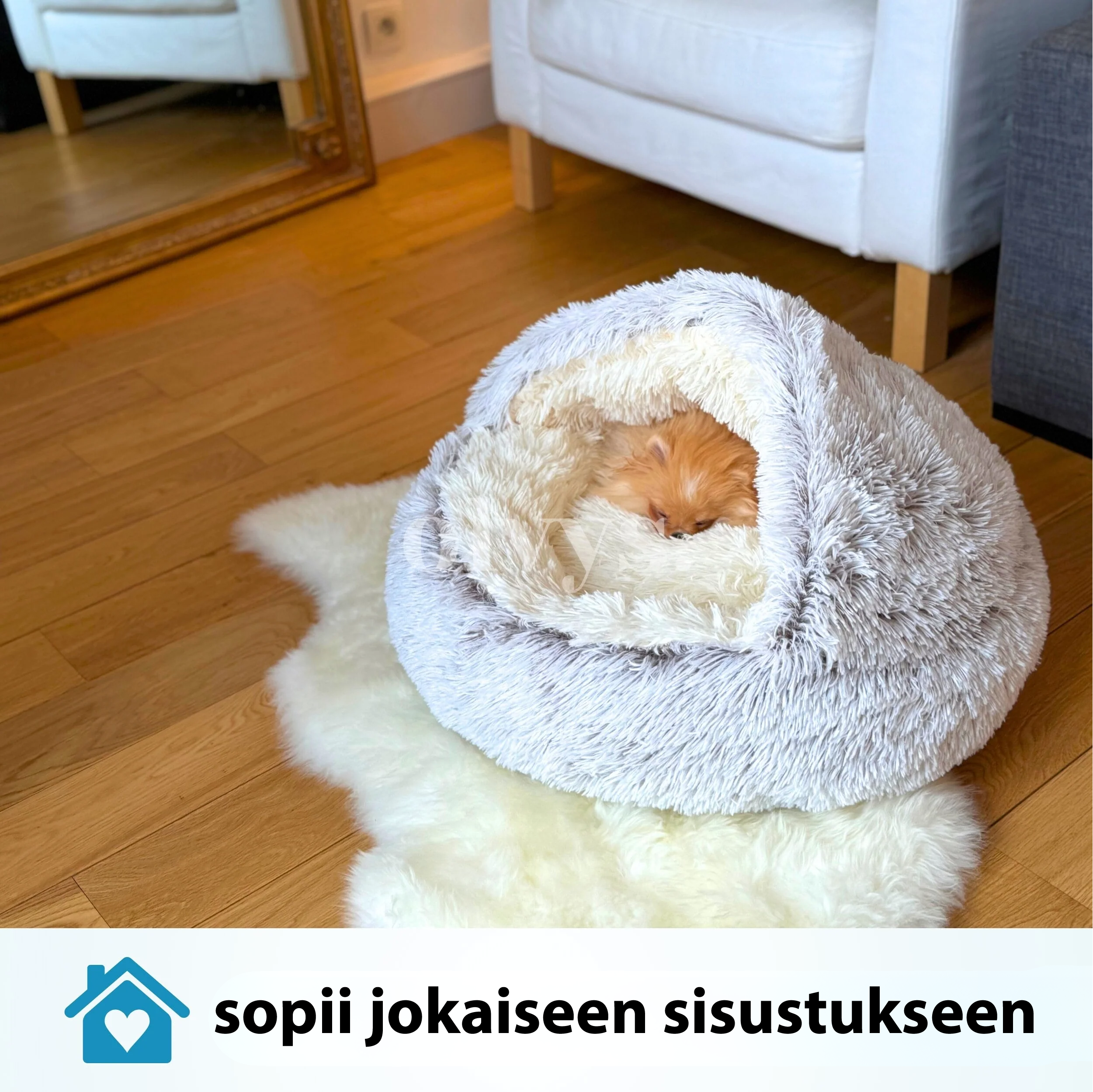 #Cozy Cocoon - Lemmikin peti