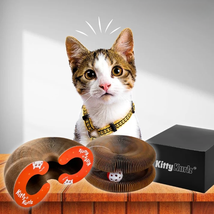 Catventure-lelu